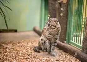 Prague Zoo