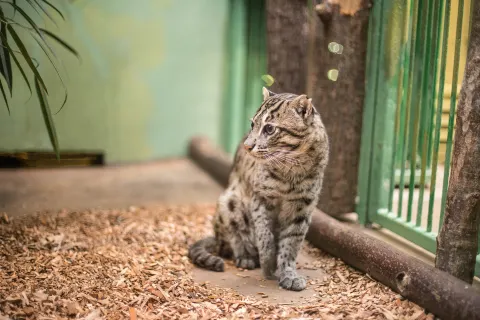 Zoo di Praga