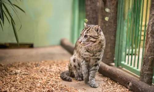 Zoo di Praga