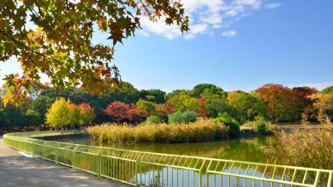 長居公園 attraction in 大阪