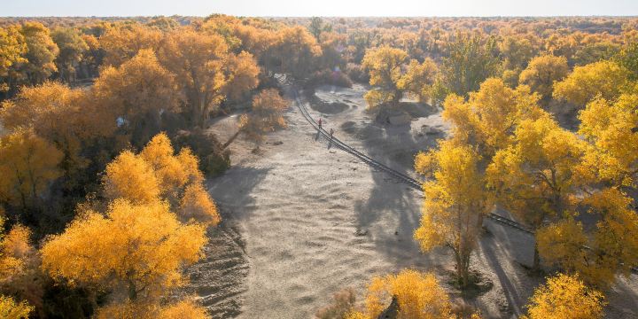 Populus Park