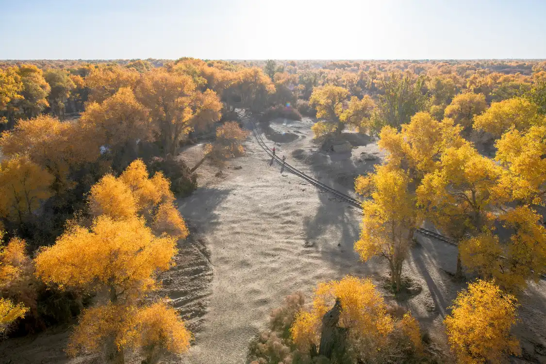 Hotels near Populus Park