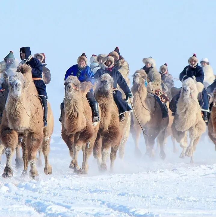 第二十一屆內蒙古自治區冰雪那達慕 | 呼倫貝爾