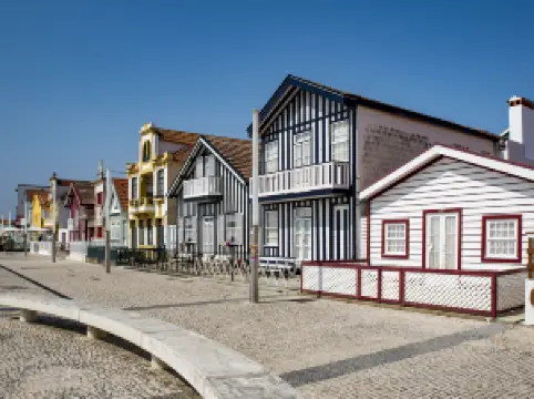 Casas Típicas da Costa Nova