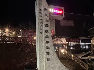 嘉義県の人気夜の観光スポット