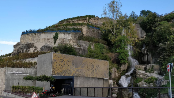 Lavaux Vinorama