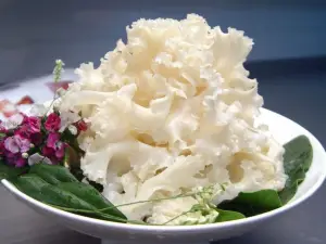 菌滿香·武夷鮮生菌宴