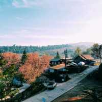 หมู่บ้านญี่ปุ่นในเมืองไทย