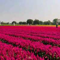 จ๊วด คาเฟ่ ขอนแก่น