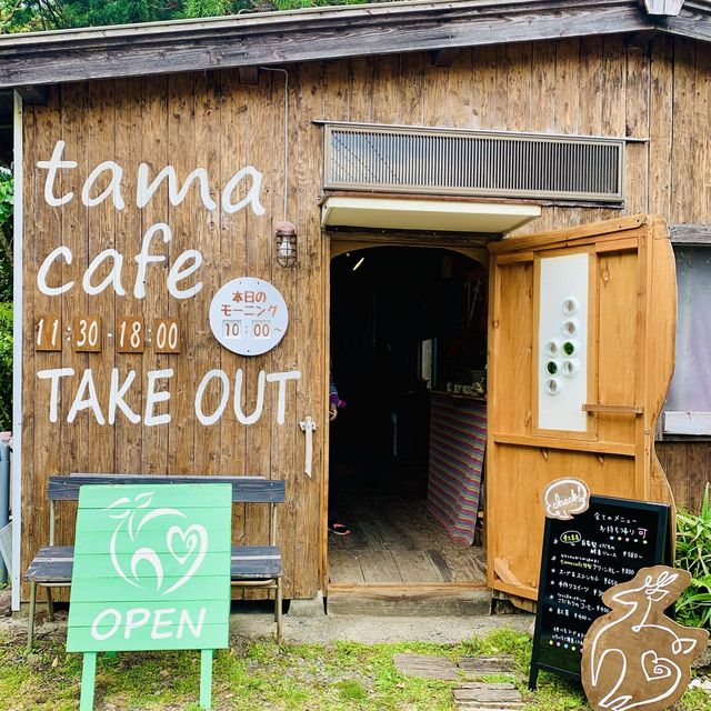 【屋久島】tamacafe