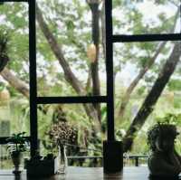 คาเฟ่บรรยากาศ​ธรรมชาติ​
