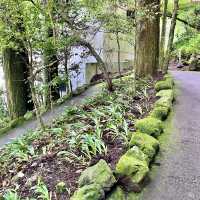 箱根神社の脇参道