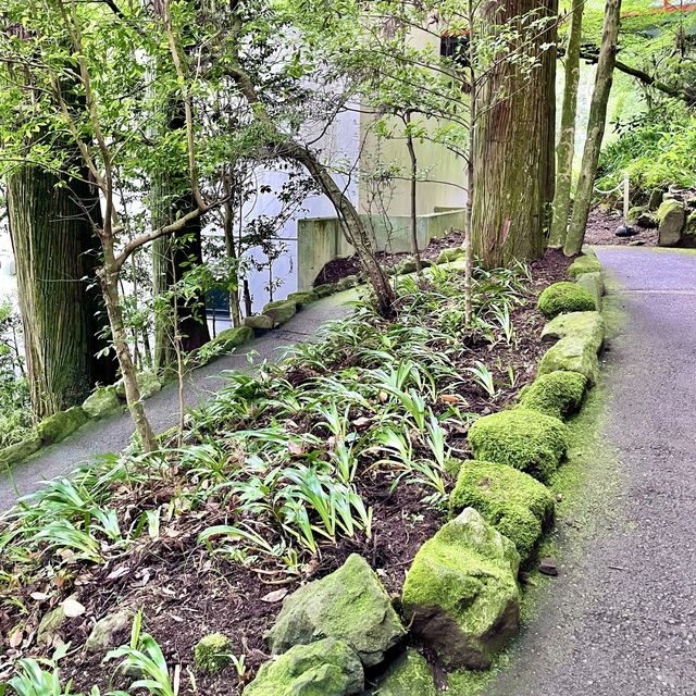 箱根神社の脇参道