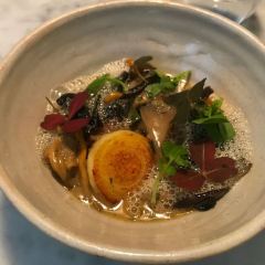 VIRTUS張用戶圖片