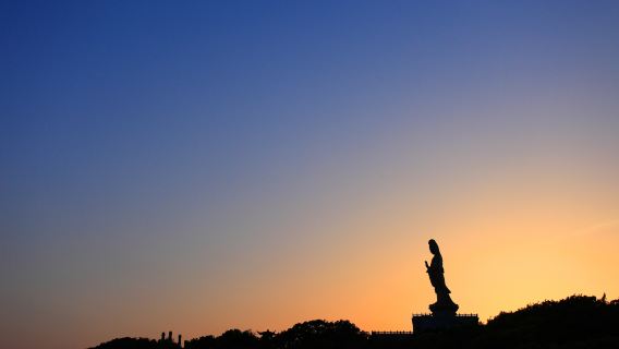普陀山風景區一日遊【祈福專線靜心之旅.佛系導遊導覽】