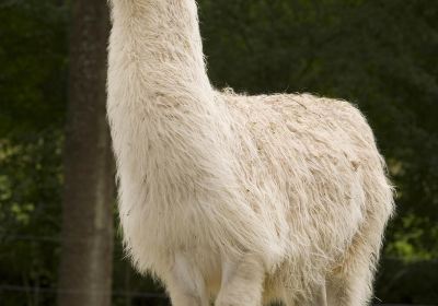 Northumberland Zoo