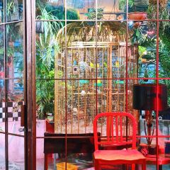 洋老土(常熟路店) User Photo