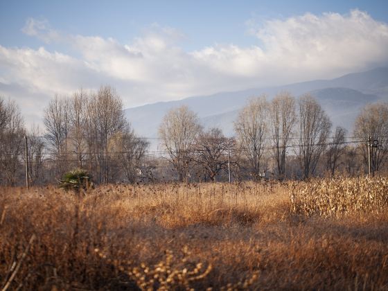 Tuying Ecological Wetland Cultural Park