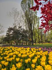 中国科学院植物研究所北京植物園