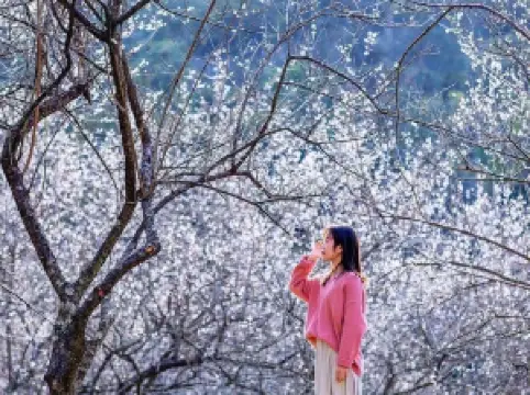 Xinxing Tianlushan Resort