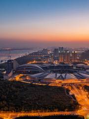 Wuhan International Expo Center