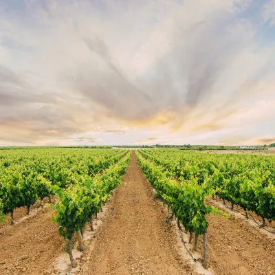 Отели рядом со станцией Chukoen Railway Station