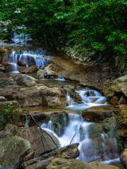 Jiulongshan Rural Scenic Resort