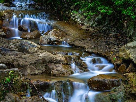 Jiulongshan Rural Scenic Resort