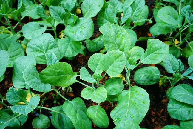 Отзывы об отеле Holiday Inn Express Qidong Economic Zone