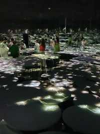 TeamLab Borderless- Transcending Artwork
