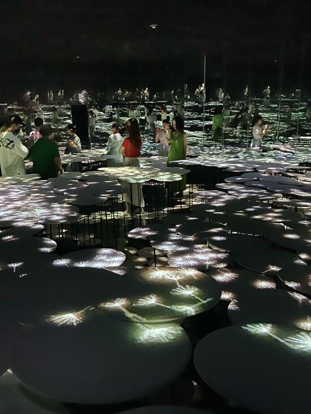TeamLab Borderless- Transcending Artwork