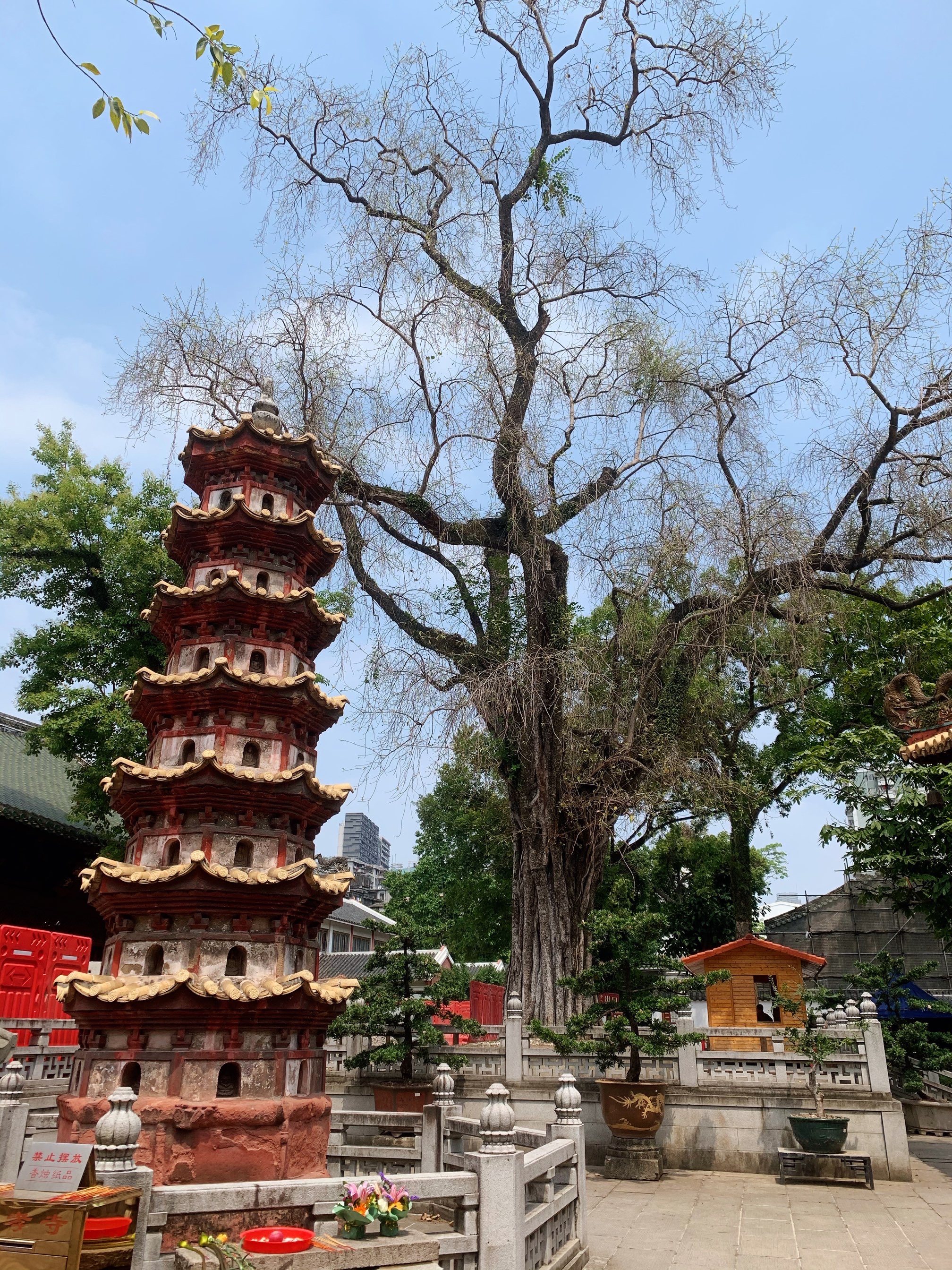 Guangxiao Temple Travel Guidebook Must Visit Attractions In Guangzhou Guangxiao Temple Nearby Recommendation Trip Com