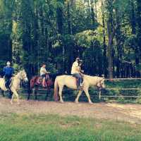Gongqing Forest Park Shanghai Nature Bli