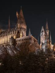 The Wizarding World Of Harry Potter