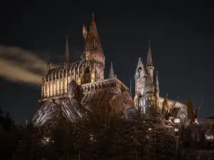 The Wizarding World Of Harry Potter