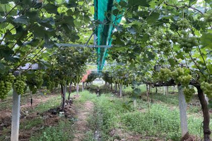 潘铺生态休闲农庄