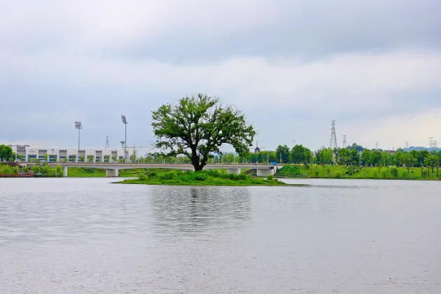 Jingdezhen Homestays