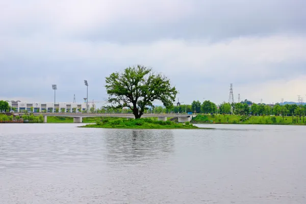 Air Chang'an Flights to Jingdezhen