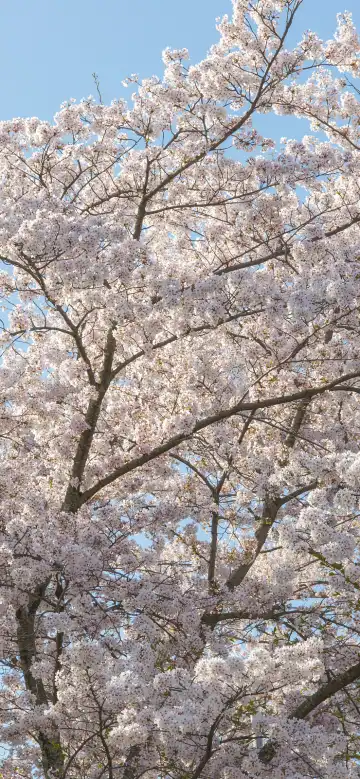 Hotels near MATSUE STATION