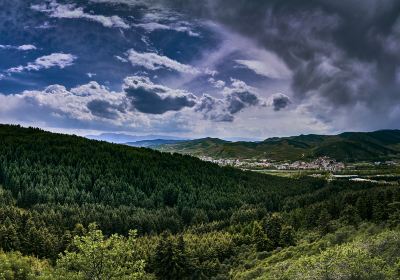 Yaozigou National Forest Park