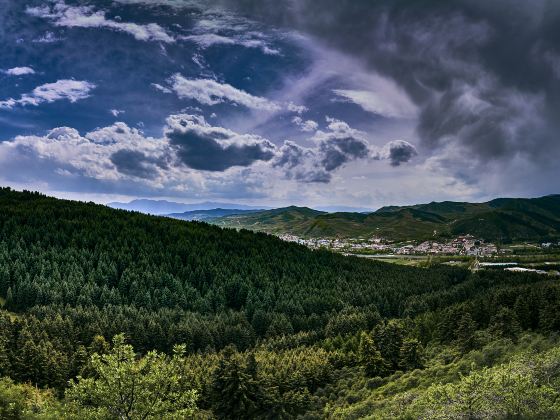 Yaozigou National Forest Park