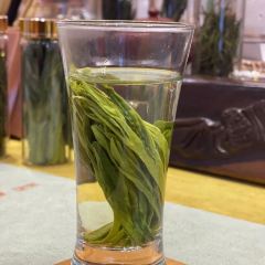 刮风寨纯正古树茶 User Photo