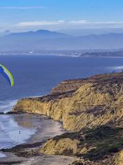 aérodrome de Torrey Pines