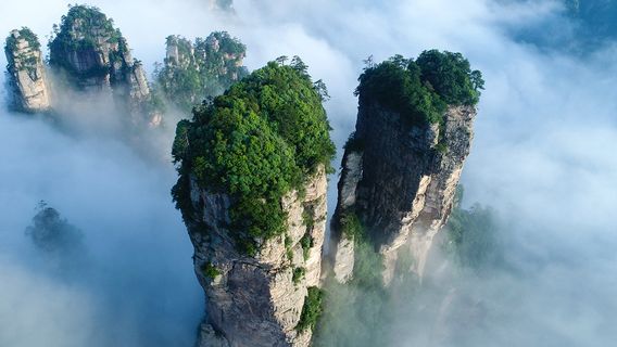 FenghuangTours