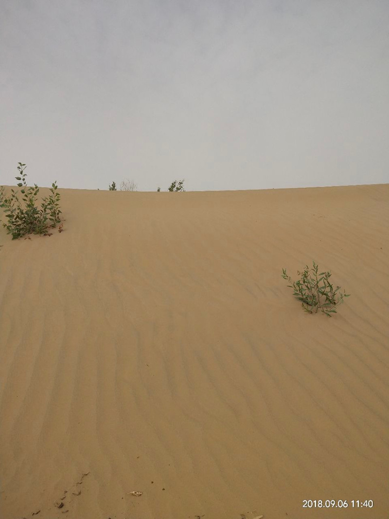 Desert Observation Deck Hotan Travel Travel Guide
