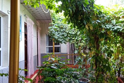 巩留县玉苏富休闲农庄