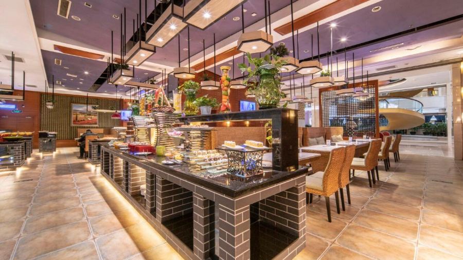 HAI JI DAO ZI ZHU CAN TING