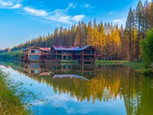 Dongtai Huanghai Forest Park