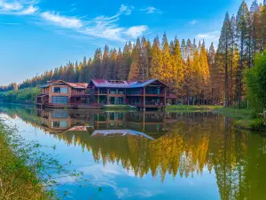 Dongtai Huanghai Forest Park