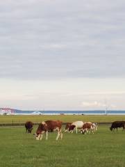 Racecourse of Gonggeer Grassland